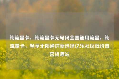 纯流量卡，纯流量卡无号码全国通用流量	，纯流量卡，畅享无限通信新选择亿乐社区低价自营货源站  第1张