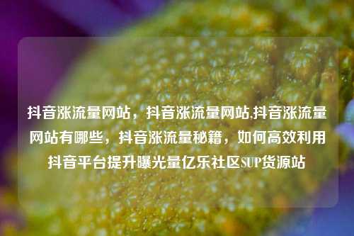 抖音涨流量网站，抖音涨流量网站,抖音涨流量网站有哪些	，抖音涨流量秘籍，如何高效利用抖音平台提升曝光量亿乐社区SUP货源站  第1张