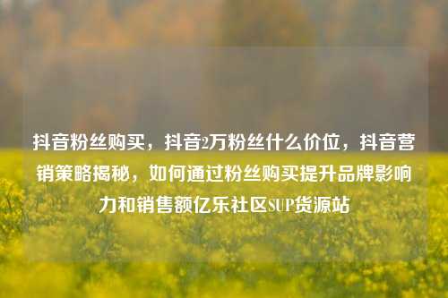 抖音粉丝购买	，抖音2万粉丝什么价位，抖音营销策略揭秘，如何通过粉丝购买提升品牌影响力和销售额亿乐社区SUP货源站  第1张