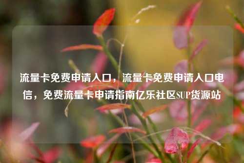 流量卡免费申请入口	，流量卡免费申请入口电信，免费流量卡申请指南亿乐社区SUP货源站  第1张