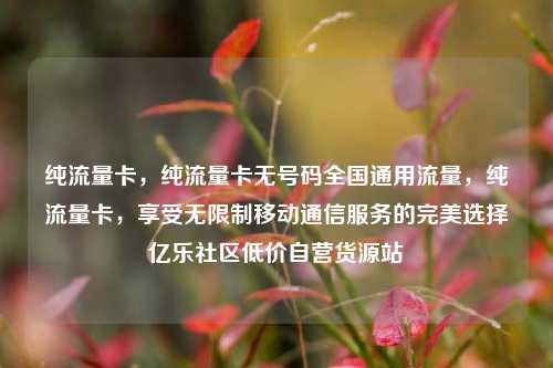 纯流量卡，纯流量卡无号码全国通用流量	，纯流量卡，享受无限制移动通信服务的完美选择亿乐社区低价自营货源站  第1张