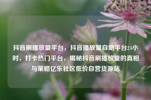 抖音刷播放量平台，抖音播放量自助平台24小时	，打卡热门平台，揭秘抖音刷播放量的真相与策略亿乐社区低价自营货源站  第1张
