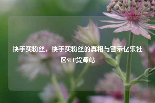 快手买粉丝	，快手买粉丝的真相与警示亿乐社区SUP货源站  第1张