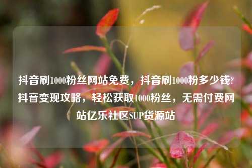 抖音刷1000粉丝网站免费，抖音刷1000粉多少钱?抖音变现攻略，轻松获取1000粉丝	，无需付费网站亿乐社区SUP货源站  第1张