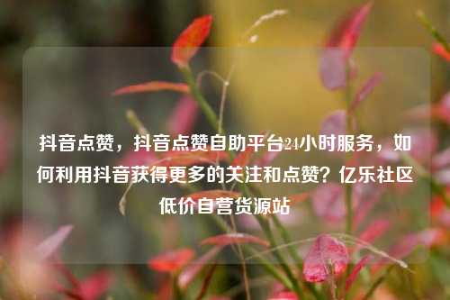 抖音点赞，抖音点赞自助平台24小时服务，如何利用抖音获得更多的关注和点赞？亿乐社区低价自营货源站  第1张