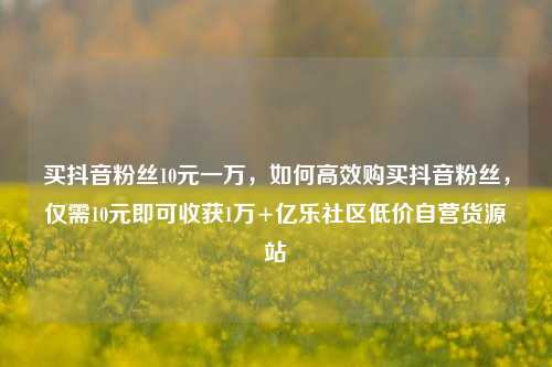 买抖音粉丝10元一万，如何高效购买抖音粉丝，仅需10元即可收获1万+亿乐社区低价自营货源站  第1张