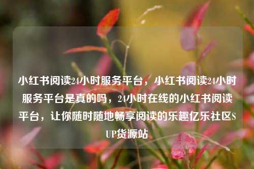 小红书阅读24小时服务平台，小红书阅读24小时服务平台是真的吗	，24小时在线的小红书阅读平台，让你随时随地畅享阅读的乐趣亿乐社区SUP货源站  第1张