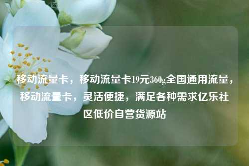 移动流量卡，移动流量卡19元360g全国通用流量，移动流量卡	，灵活便捷，满足各种需求亿乐社区低价自营货源站  第1张