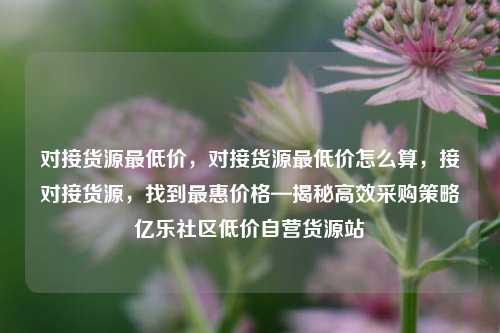 对接货源最低价	，对接货源最低价怎么算，接对接货源，找到最惠价格—揭秘高效采购策略亿乐社区低价自营货源站  第1张