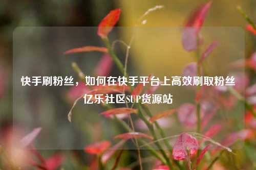 快手刷粉丝，如何在快手平台上高效刷取粉丝亿乐社区SUP货源站  第1张
