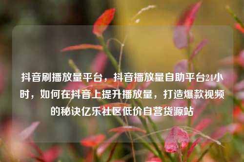 抖音刷播放量平台	，抖音播放量自助平台24小时，如何在抖音上提升播放量，打造爆款视频的秘诀亿乐社区低价自营货源站  第1张