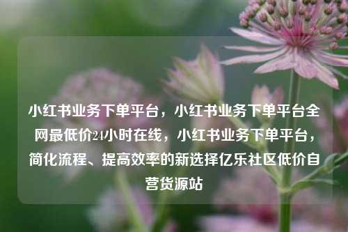 小红书业务下单平台	，小红书业务下单平台全网最低价24小时在线，小红书业务下单平台，简化流程、提高效率的新选择亿乐社区低价自营货源站  第1张