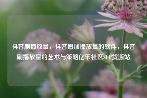 抖音刷播放量，抖音增加播放量的软件，抖音刷播放量的艺术与策略亿乐社区SUP货源站  第1张