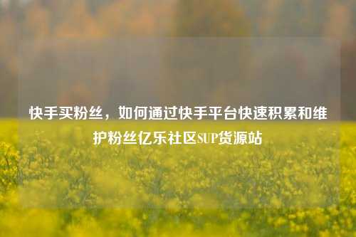 快手买粉丝，如何通过快手平台快速积累和维护粉丝亿乐社区SUP货源站  第1张