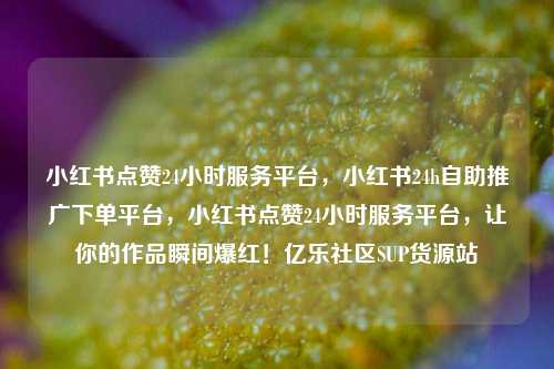 小红书点赞24小时服务平台	，小红书24h自助推广下单平台，小红书点赞24小时服务平台，让你的作品瞬间爆红！亿乐社区SUP货源站  第1张