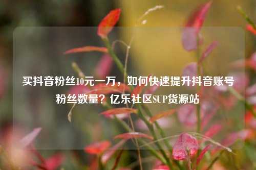 买抖音粉丝10元一万，如何快速提升抖音账号粉丝数量？亿乐社区SUP货源站  第1张