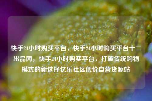 快手24小时购买平台，快手24小时购买平台十二出品网	，快手24小时购买平台，打破传统购物模式的新选择亿乐社区低价自营货源站  第1张