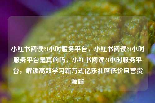 小红书阅读24小时服务平台，小红书阅读24小时服务平台是真的吗	，小红书阅读24小时服务平台，解锁高效学习新方式亿乐社区低价自营货源站  第1张