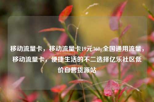 移动流量卡，移动流量卡19元360g全国通用流量，移动流量卡	，便捷生活的不二选择亿乐社区低价自营货源站  第1张