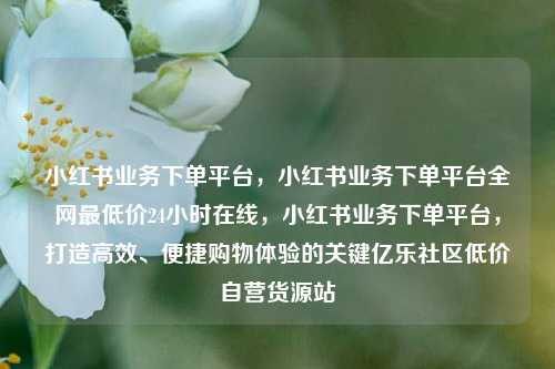 小红书业务下单平台，小红书业务下单平台全网最低价24小时在线	，小红书业务下单平台，打造高效、便捷购物体验的关键亿乐社区低价自营货源站  第1张