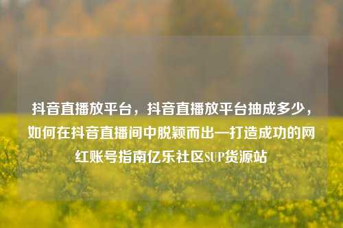 抖音直播放平台，抖音直播放平台抽成多少	，如何在抖音直播间中脱颖而出—打造成功的网红账号指南亿乐社区SUP货源站  第1张