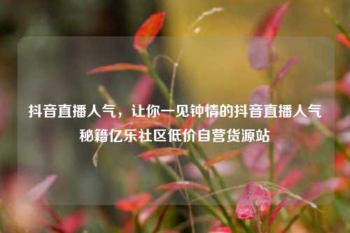 抖音直播人气，让你一见钟情的抖音直播人气秘籍亿乐社区低价自营货源站  第1张