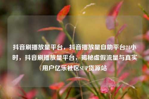 抖音刷播放量平台，抖音播放量自助平台24小时	，抖音刷播放量平台，揭秘虚假流量与真实用户亿乐社区SUP货源站  第1张