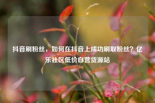 抖音刷粉丝	，如何在抖音上成功刷取粉丝？亿乐社区低价自营货源站  第1张