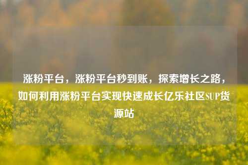 涨粉平台	，涨粉平台秒到账，探索增长之路，如何利用涨粉平台实现快速成长亿乐社区SUP货源站  第1张