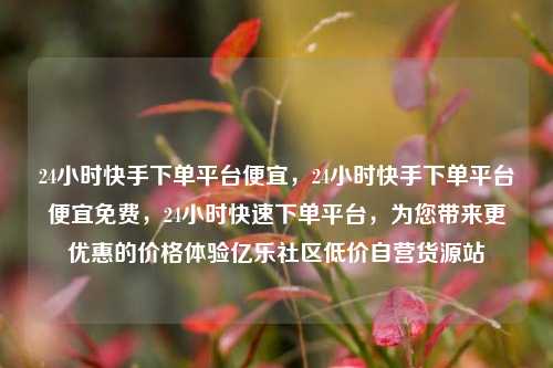 24小时快手下单平台便宜	，24小时快手下单平台便宜免费，24小时快速下单平台，为您带来更优惠的价格体验亿乐社区低价自营货源站  第1张