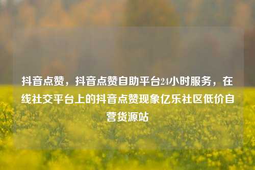 抖音点赞，抖音点赞自助平台24小时服务，在线社交平台上的抖音点赞现象亿乐社区低价自营货源站  第1张