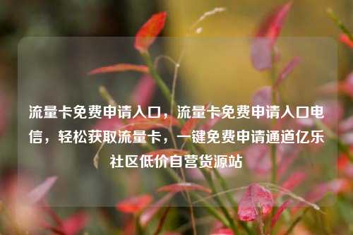 流量卡免费申请入口，流量卡免费申请入口电信	，轻松获取流量卡，一键免费申请通道亿乐社区低价自营货源站  第1张