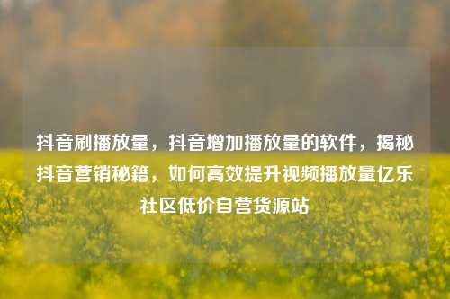 抖音刷播放量，抖音增加播放量的软件，揭秘抖音营销秘籍	，如何高效提升视频播放量亿乐社区低价自营货源站  第1张