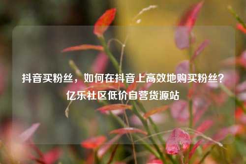 抖音买粉丝	，如何在抖音上高效地购买粉丝？亿乐社区低价自营货源站  第1张
