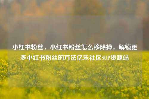 小红书粉丝，小红书粉丝怎么移除掉	，解锁更多小红书粉丝的方法亿乐社区SUP货源站  第1张