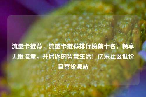 流量卡推荐	，流量卡推荐排行榜前十名，畅享无限流量，开启您的智慧生活！亿乐社区低价自营货源站  第1张
