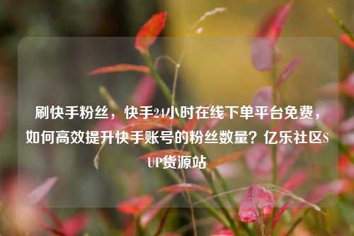 刷快手粉丝，快手24小时在线下单平台免费，如何高效提升快手账号的粉丝数量？亿乐社区SUP货源站  第1张