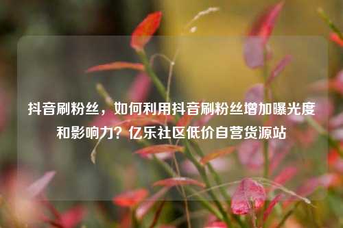 抖音刷粉丝，如何利用抖音刷粉丝增加曝光度和影响力？亿乐社区低价自营货源站  第1张