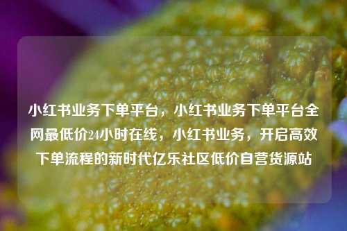 小红书业务下单平台，小红书业务下单平台全网最低价24小时在线	，小红书业务，开启高效下单流程的新时代亿乐社区低价自营货源站  第1张