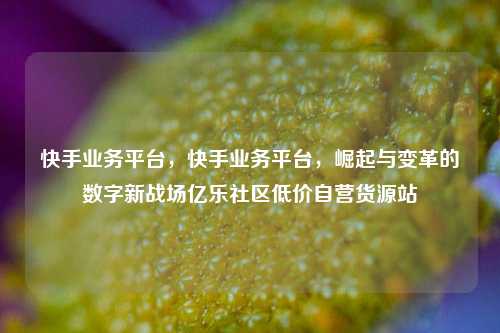 快手业务平台，快手业务平台，崛起与变革的数字新战场亿乐社区低价自营货源站  第1张