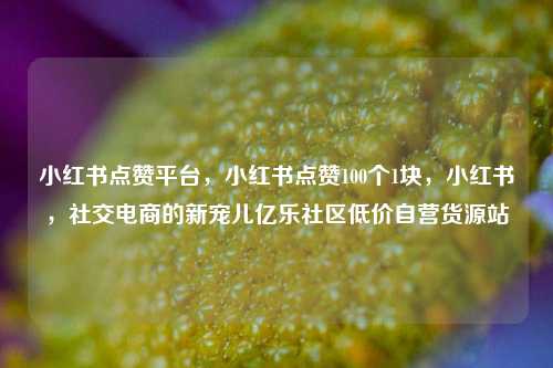 小红书点赞平台，小红书点赞100个1块	，小红书，社交电商的新宠儿亿乐社区低价自营货源站  第1张