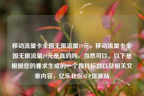 移动流量卡全国无限流量19元	，移动流量卡全国无限流量19元是真的吗，当然可以。以下是根据您的要求生成的一个独特标题以及相关文章内容，亿乐社区SUP货源站  第1张