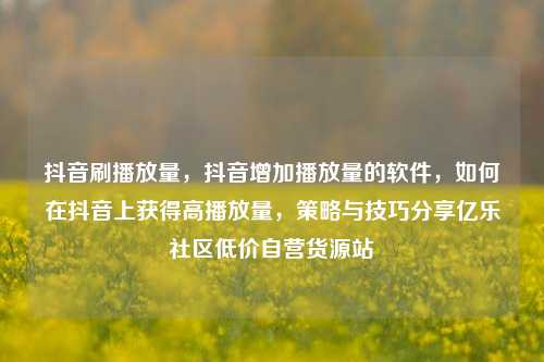 抖音刷播放量，抖音增加播放量的软件	，如何在抖音上获得高播放量，策略与技巧分享亿乐社区低价自营货源站  第1张