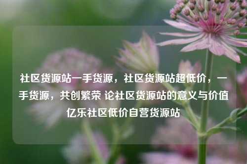 社区货源站一手货源，社区货源站超低价，一手货源	，共创繁荣 论社区货源站的意义与价值亿乐社区低价自营货源站  第1张