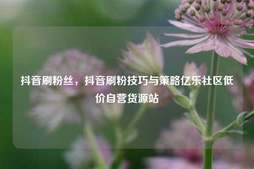 抖音刷粉丝，抖音刷粉技巧与策略亿乐社区低价自营货源站  第1张