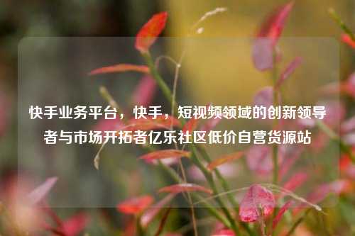 快手业务平台，快手	，短视频领域的创新领导者与市场开拓者亿乐社区低价自营货源站  第1张