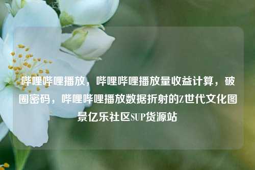 哔哩哔哩播放，哔哩哔哩播放量收益计算	，破圈密码，哔哩哔哩播放数据折射的Z世代文化图景亿乐社区SUP货源站  第1张