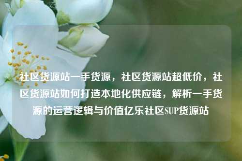 社区货源站一手货源，社区货源站超低价，社区货源站如何打造本地化供应链	，解析一手货源的运营逻辑与价值亿乐社区SUP货源站  第1张