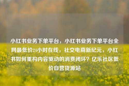 小红书业务下单平台，小红书业务下单平台全网最低价24小时在线	，社交电商新纪元，小红书如何重构内容驱动的消费闭环？亿乐社区低价自营货源站  第1张
