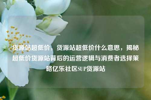 货源站超低价，货源站超低价什么意思，揭秘超低价货源站背后的运营逻辑与消费者选择策略亿乐社区SUP货源站  第1张
